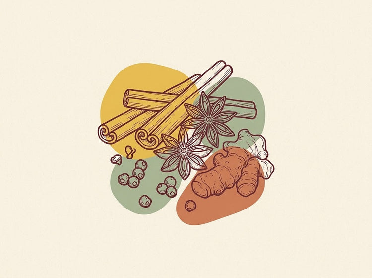 Illustration of kitchen spices